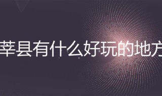 莘县有什么好玩的地方（莘县哪里有好玩儿的地方）