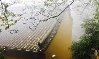 春捂秋冻是什么意思（彦语春捂秋冻是什么意思）