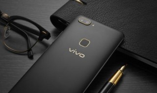 vivox20应用管理在哪 vivox21应用管理在哪里?