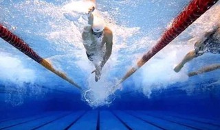 在游泳比赛中,游距最长的项目是 在游泳比赛中游距最长的项目是什么