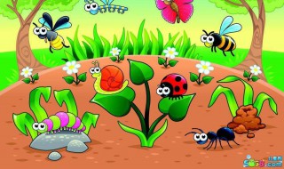 适合中班小朋友画的画 适合中班小朋友画的画简单