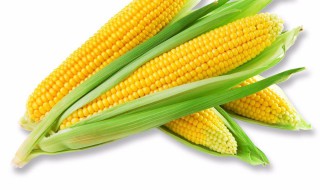 80斤浓缩料配多少玉米（80斤浓缩料配多少玉米喂猪）