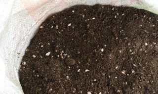 花土上面发白了怎么办 种花土发白怎么办