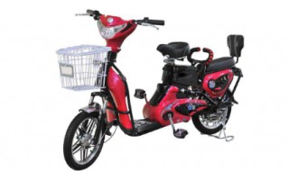 电动车怎么选用充电器 电动车怎么选用充电器充电