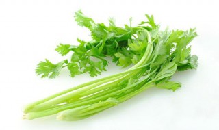 痛风能吃的蔬菜是什么（痛风能吃的蔬菜是什么菜）