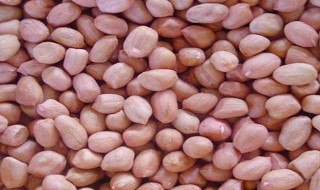 花生的象征意思是什么（花生 象征）