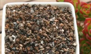 煤渣泡多久可以种花（煤渣泡多久可以种花草）