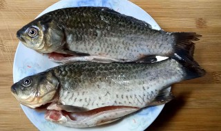鲫鱼怎么吃有营养 鲫鱼怎么吃有营养又营养