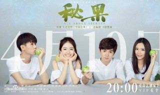 秘果电视剧大结局 秘果电视剧大结局介绍