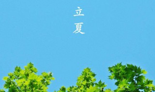 立夏节习俗 立夏节有哪些风俗