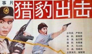 猎豹出击容雨君结局（猎豹出击大结局）