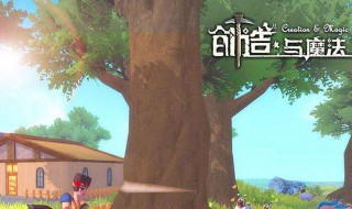 创造与魔法怎样解除保护时间（创造与魔法保护时间是多久）