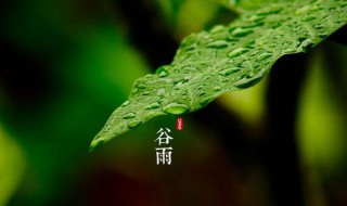 谷雨节气的介绍 谷雨节气的介绍英文版