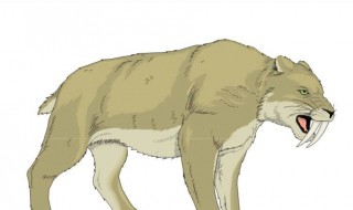 剑齿虎模拟器所有母虎的位置 想要驯服剑齿虎需要知道他经常出现的地方