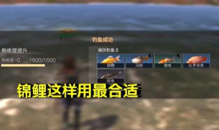 明日之后锦鲤分布 明日之后哪里锦鲤多