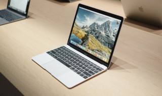 wps文字无法打开数据源（wps文字无法打开数据源需要下载什么软件）