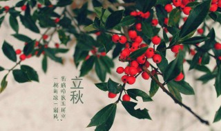 关于立秋的诗句 关于立秋的诗句或谚语