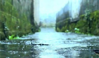 雨水三候指的是什么 雨水三候指的是什么节气