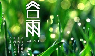 关于谷雨的谚语 关于谷雨的谚语大全