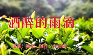 酒醉的雨滴是什么电视剧主题曲（酒醉的雨滴是哪首歌）