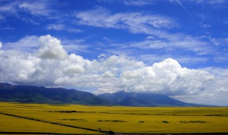 关于青海的地理知识的分类 关于青海的地理知识的分类图片