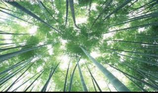 叙述角度有哪些 叙述角度有哪些方面