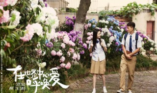 欧豪杨紫演的电影 欧豪杨紫演的电影有哪些