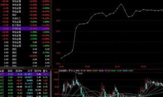 股票中的pev是什么意思 pev是什么意思?