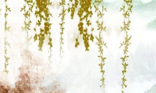 折柳寄托了什么之情 折柳寄托了什么之情古诗