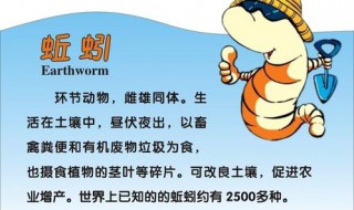 蚯蚓的生长周期是多少天（蚯蚓的生长周期是多少天数）