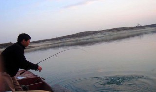 冬天晚上路亚用什么饵最好（深秋晚上路亚用什么饵最好）