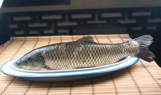 草鱼要多少年才能繁殖 草鱼多少年才能繁殖?