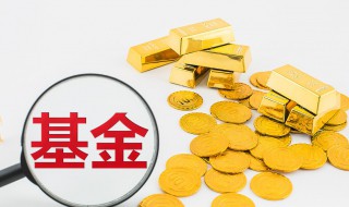 混合基金年收益多少（混合基金年收益多少可以止盈）