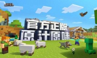 手工制作立体我的世界（手工制作立体我的世界(图片手绘）