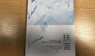 扶蓝小说大概讲什么（扶蓝小说讲的什么）