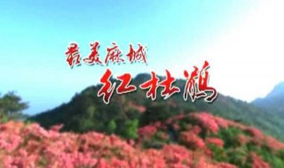 湖北麻城结婚习俗(麻城结婚所有细节)