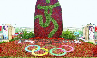 常见的花坛花卉搭配 常见的花坛花卉搭配图