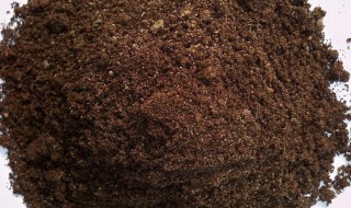 树叶切碎可以当土种菜吗（树叶切碎可以当土种菜吗视频）