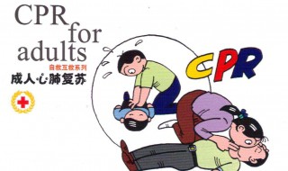 心肺复苏技术指标5项各是什么?（心肺复苏的八个有效指标）