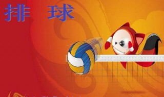 简述什么是排球运动 简述什么是排球运动员