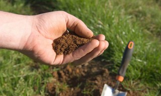 粘土矿物主要包括哪些矿物 粘土矿物主要有