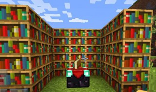 我的世界书架有什么用（我的世界里书架怎么放最有用）
