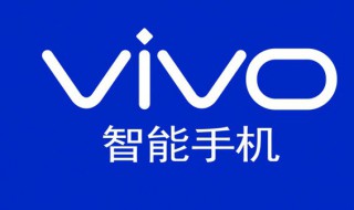 vivoy3是什么时候出来的手机（vivoy3是什么时候上市）