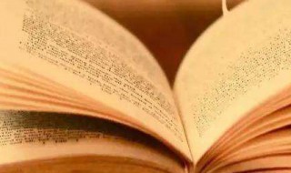 温暖的雪书概括主要内容（温暖的雪书概括主要内容是什么）