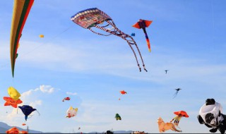 西南风是由什么吹向什么 西南风是由什么吹过来的