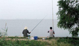 钓鱼的时候，鱼到了中层该怎么钓 钓鱼怎么钓中上层