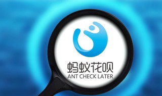 花呗突然没有最低还款（花呗突然没有最低还款了）