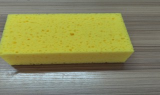 海绵的作用有哪些 海绵的作用有哪些方面