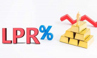 lpr通俗解释（LPR是指）