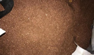 废铜屑是酸还是碱性（废铜屑是酸还是碱性的）